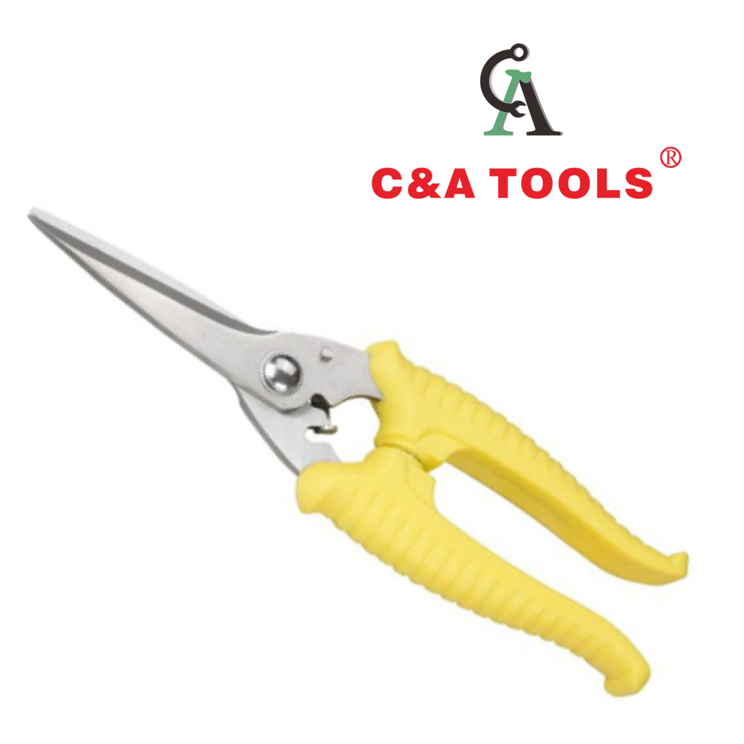 Pruning Shear