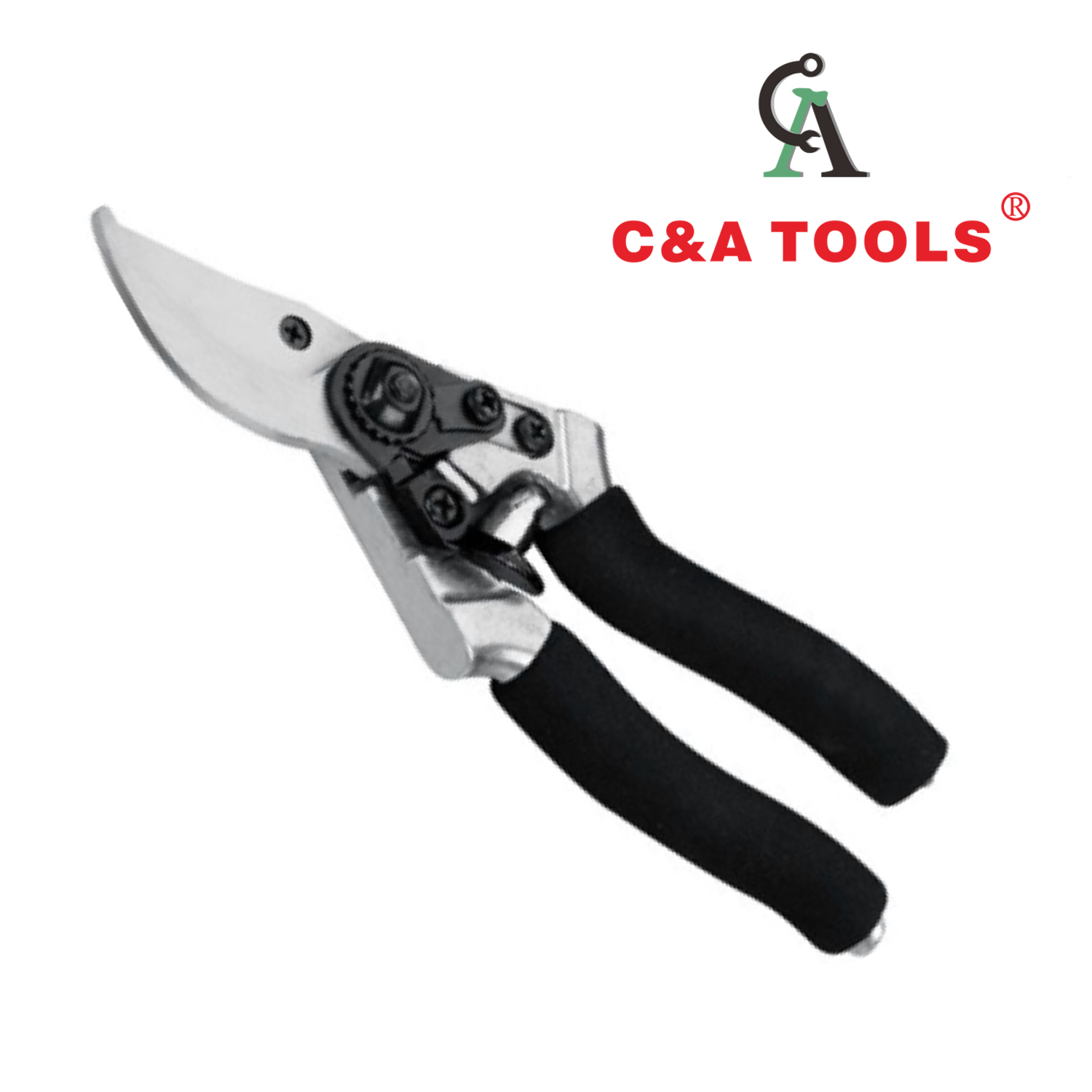 Pruning Shear