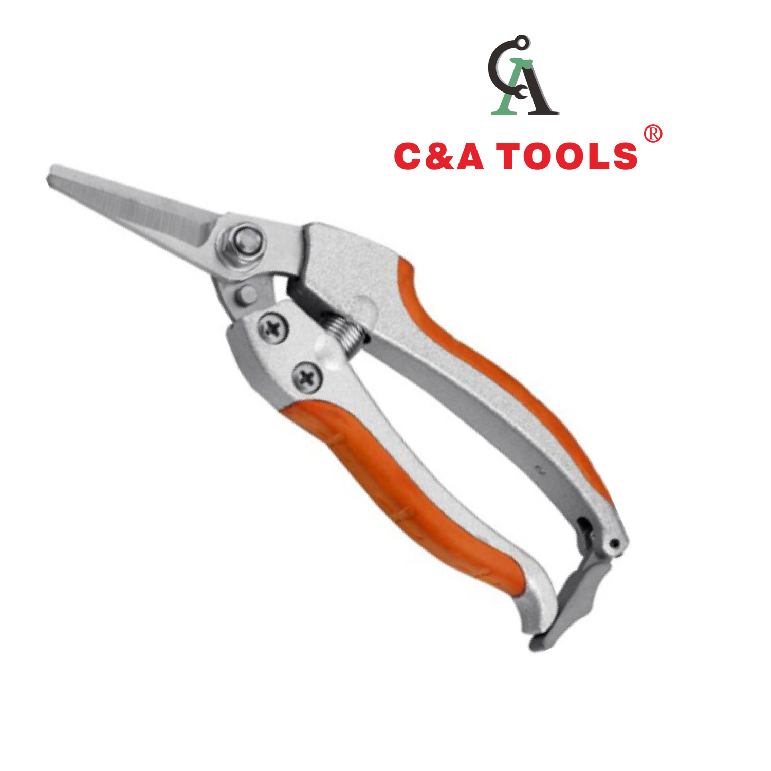 Pruning Shear