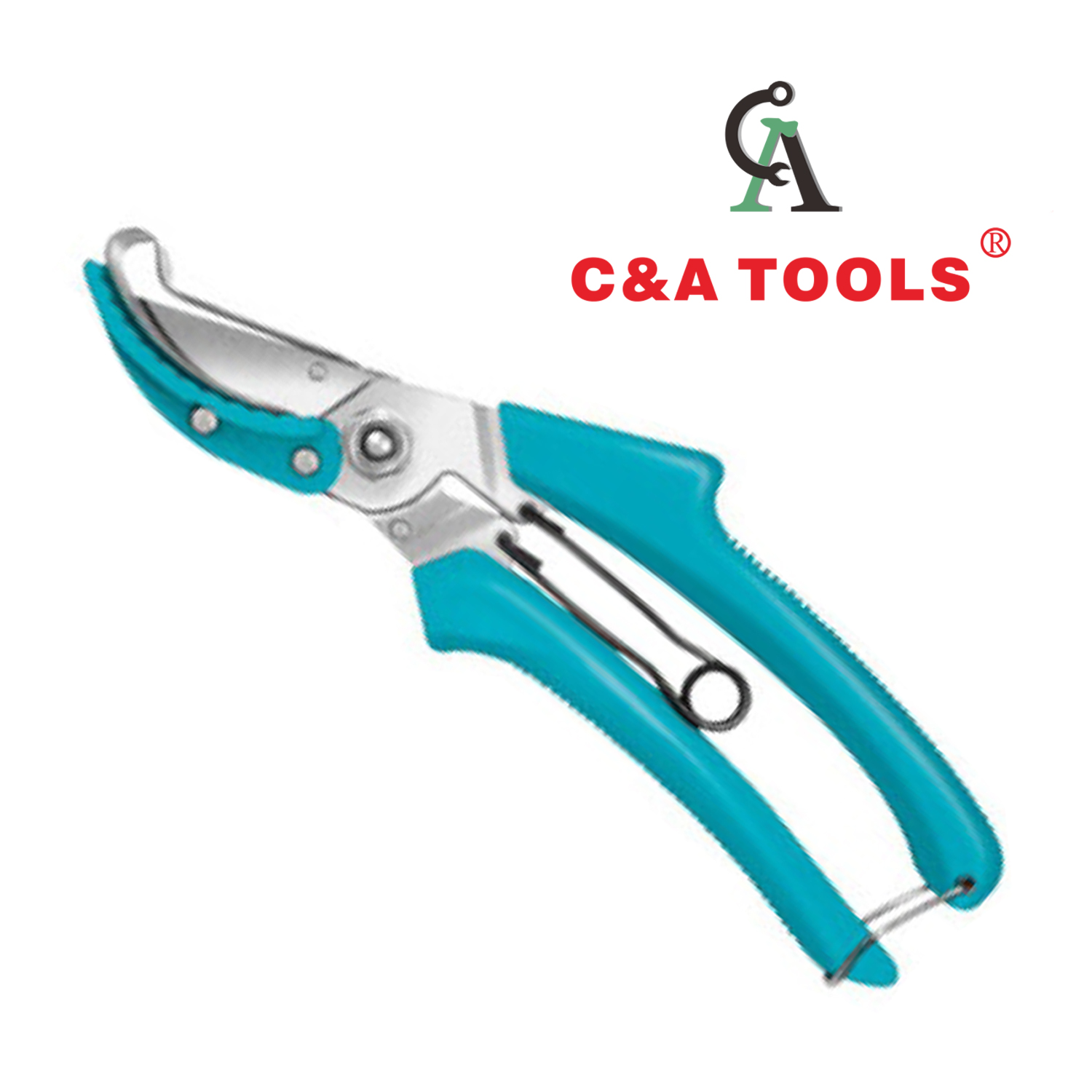 Pruning Shear