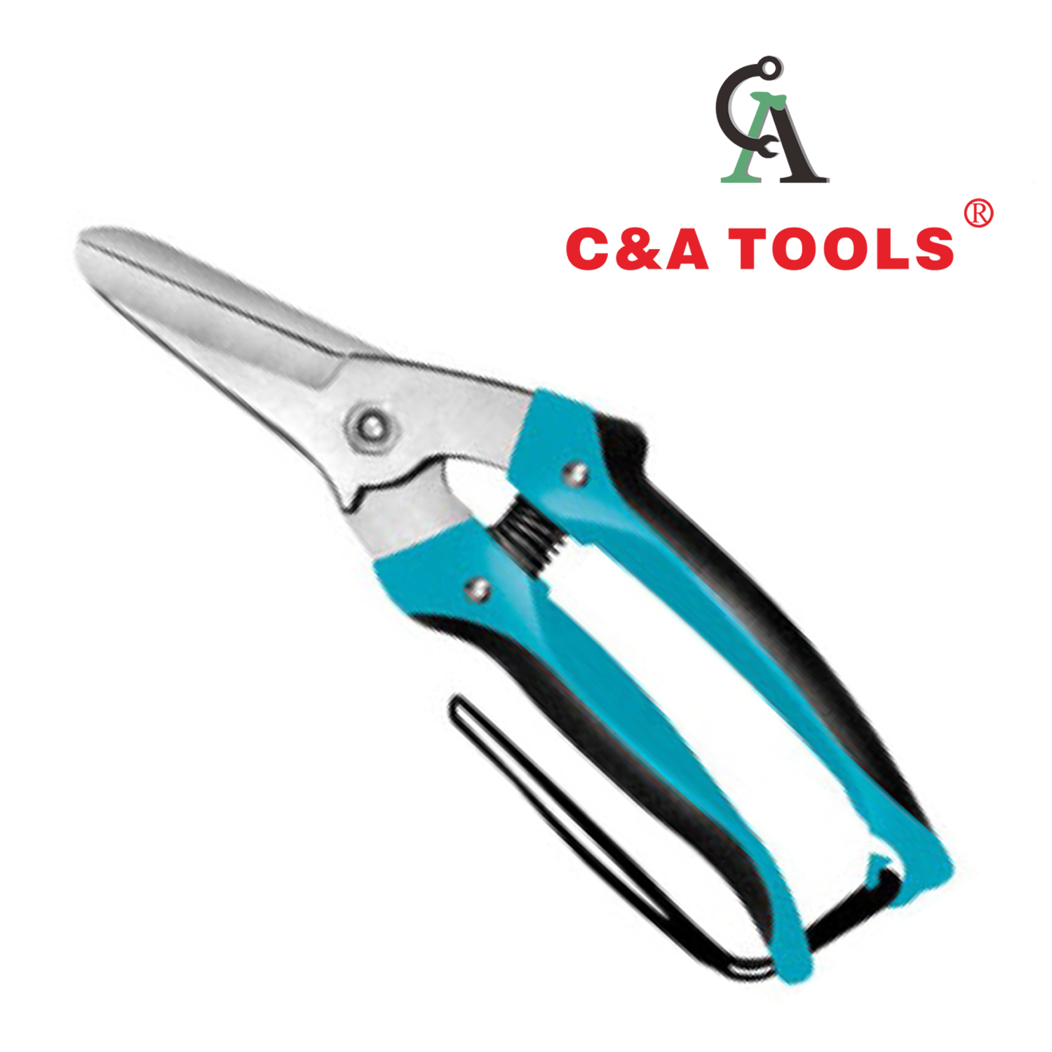 Pruning Shear