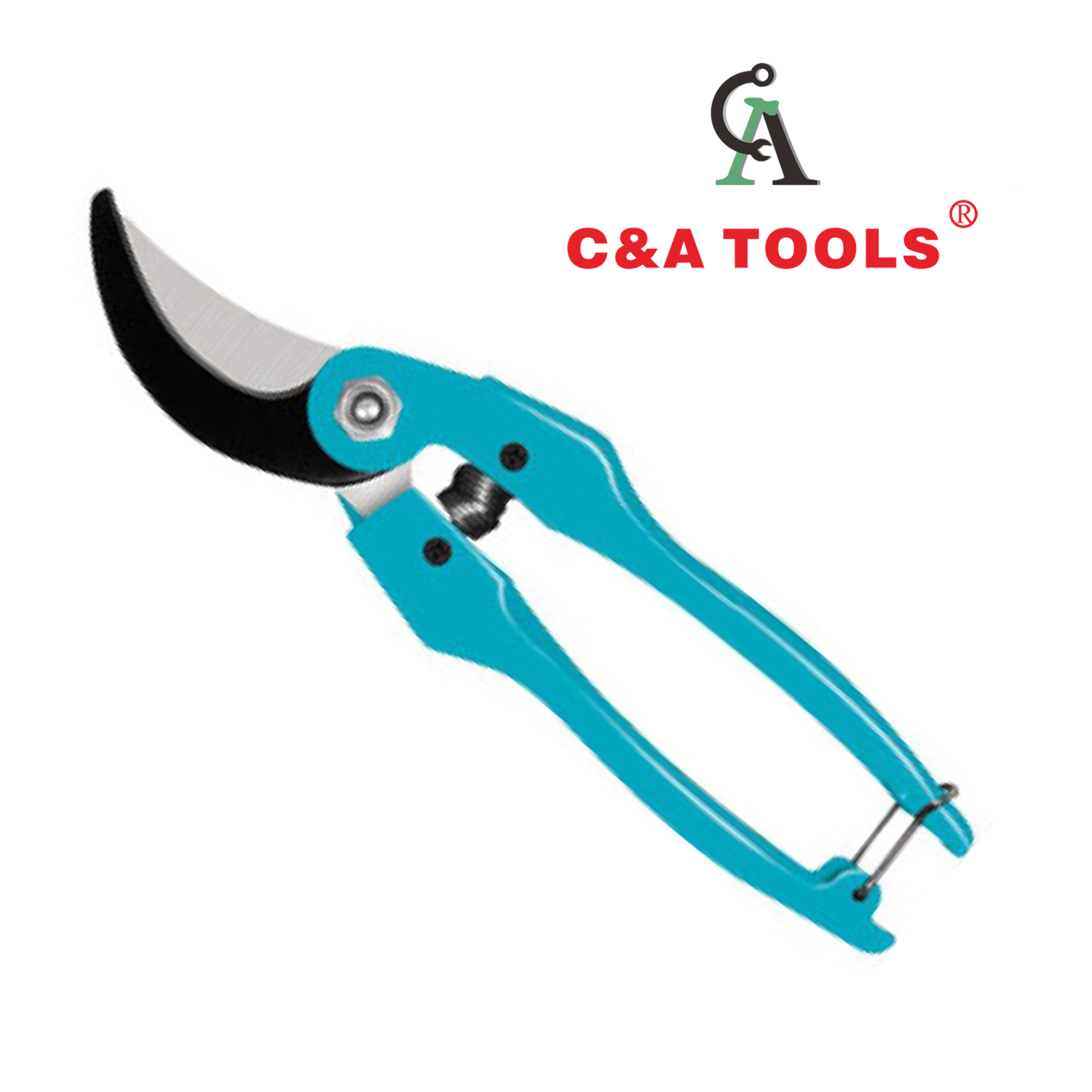 Pruning Shear