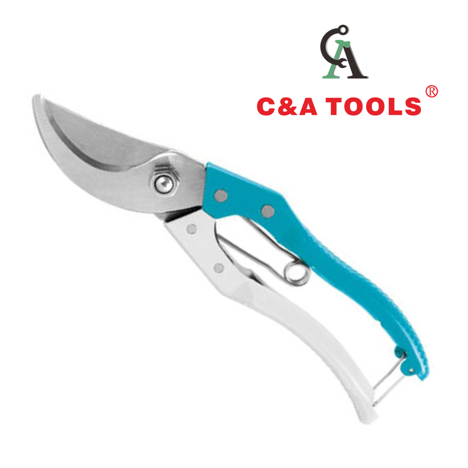 Pruning Shear