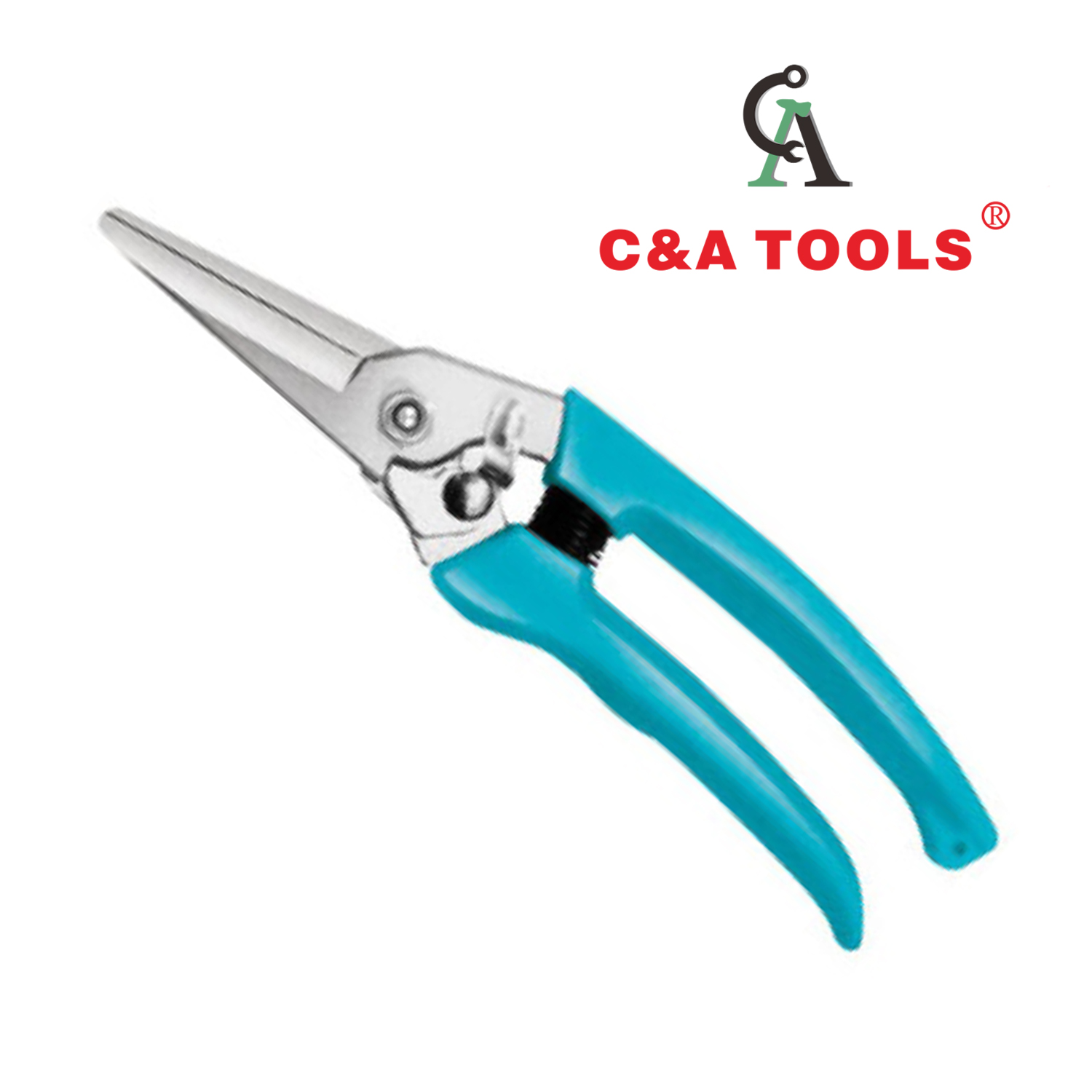 Pruning Shear