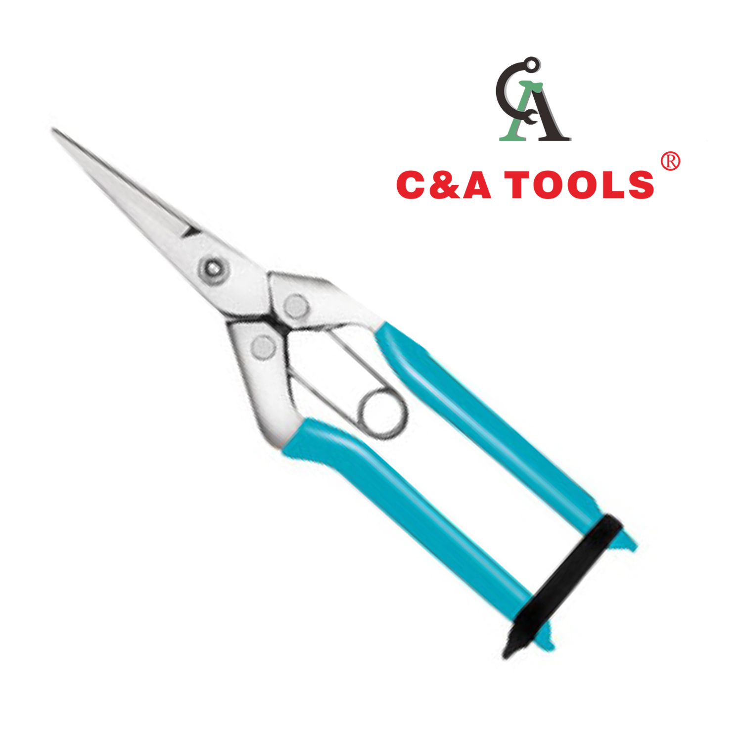 Pruning Shear