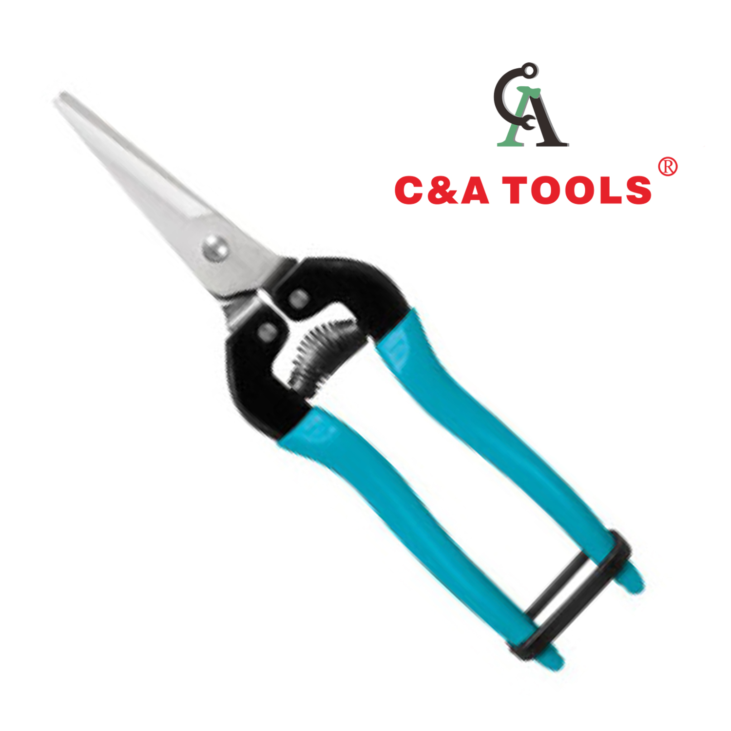 Pruning Shear