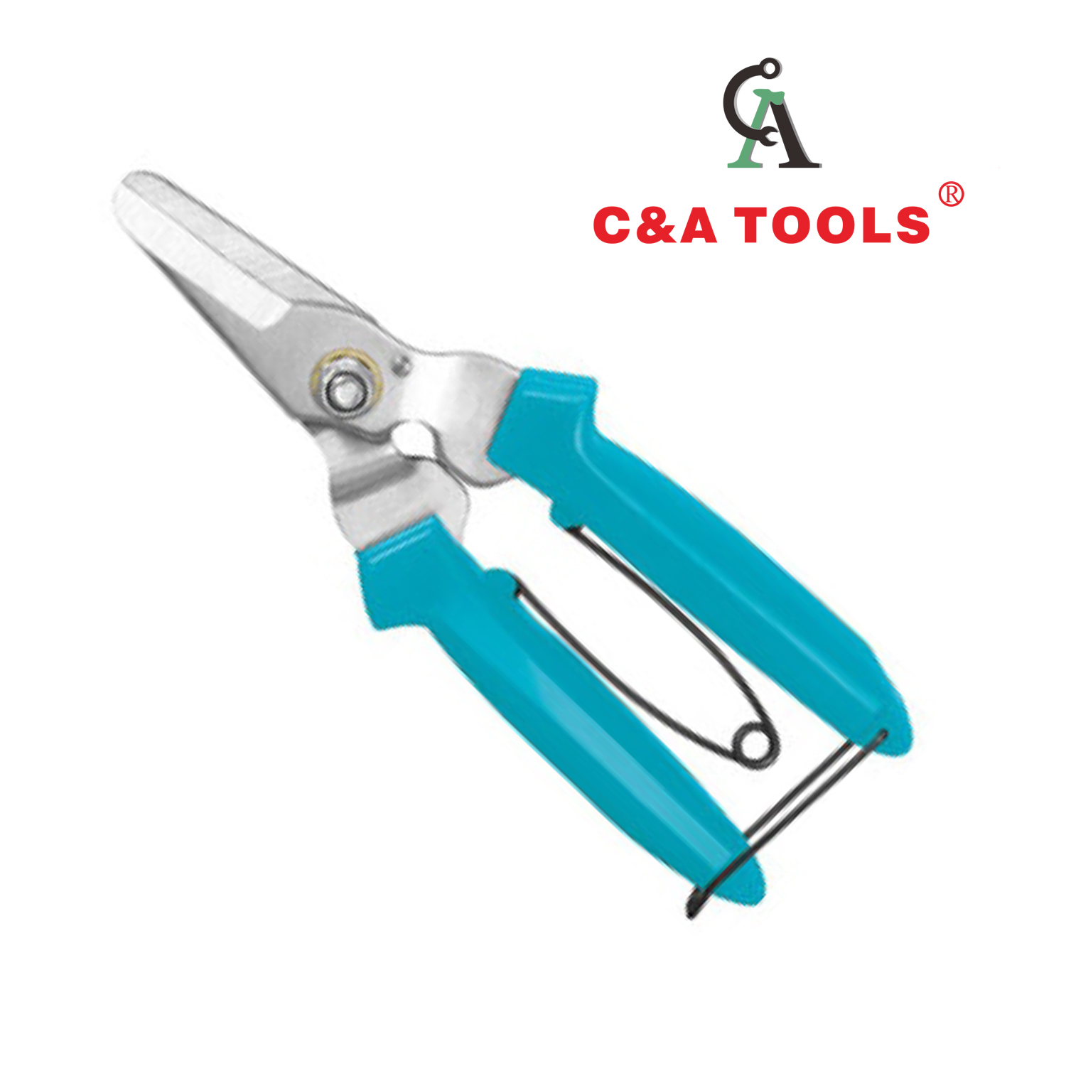 Pruning Shear