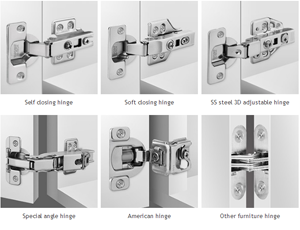 Hydraulic Hinge