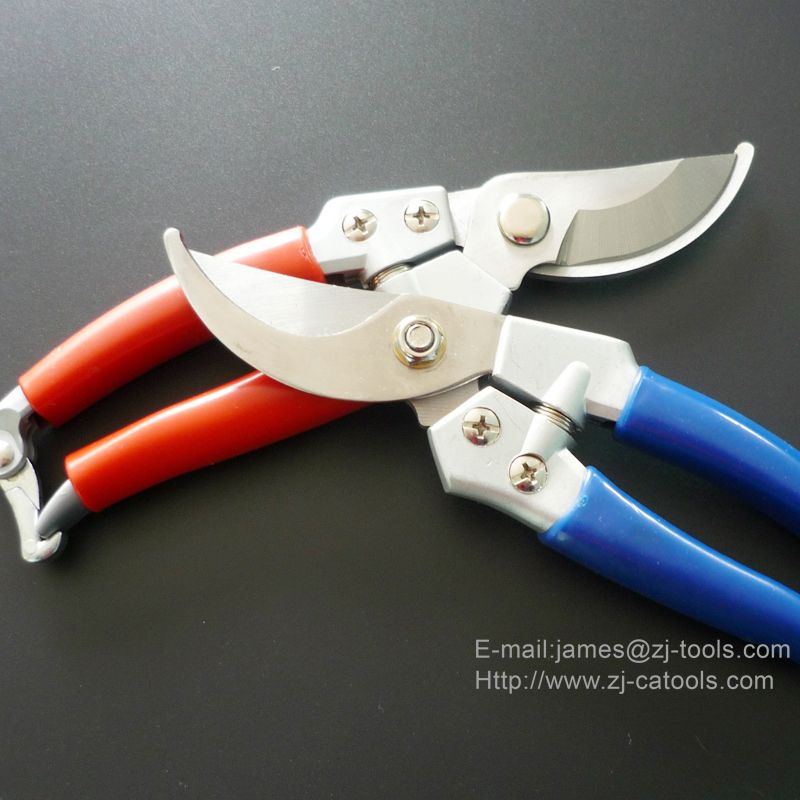 Pruning Shear